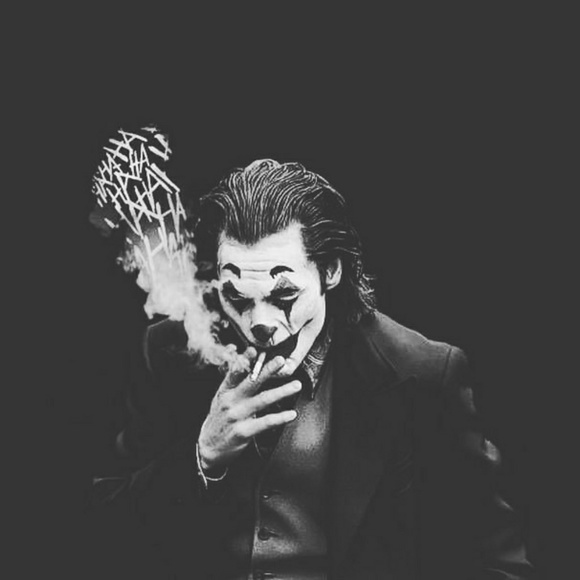 Meet your Posher, Xander - Picture 1 of 1